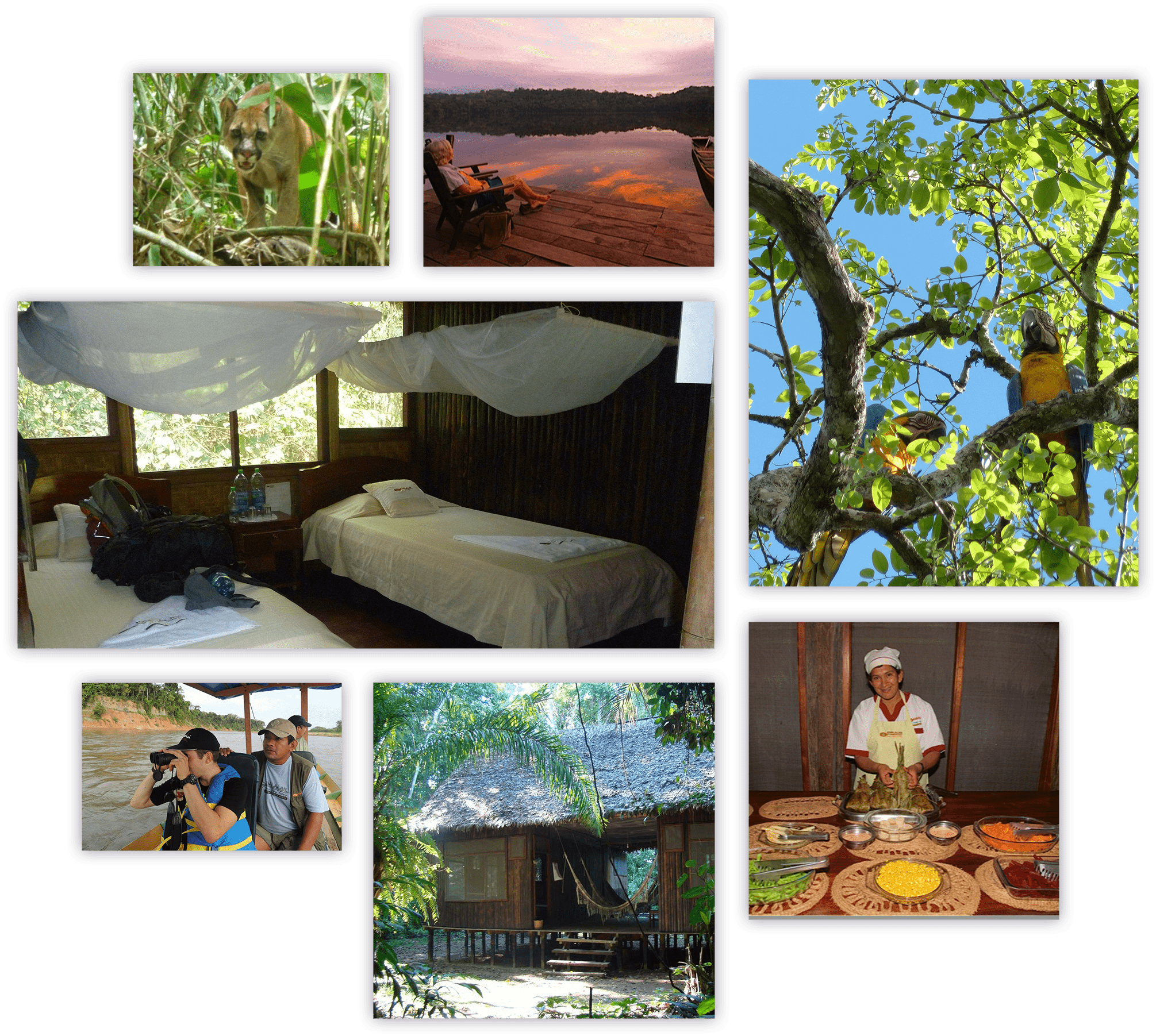 madidi-luxury-summary-