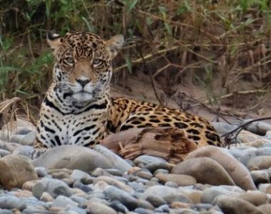 Madidi National Park Tour