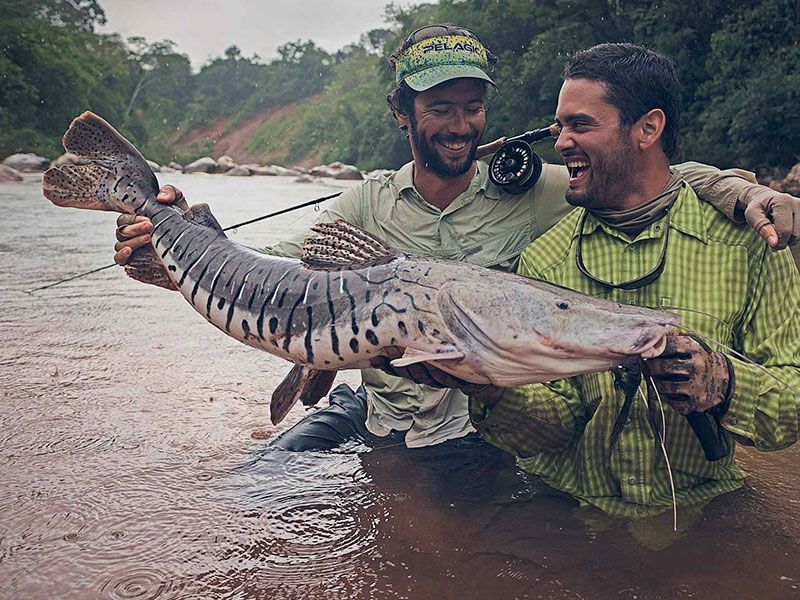 Bolivian Golden Dorado Fly Fishing Expedition Tour Tours in Bolivia